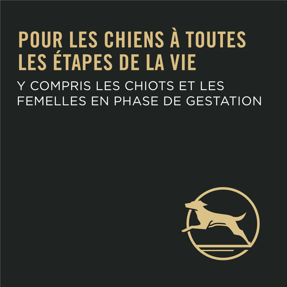 Proplan Chien Performance Poulet 30/20 – Image 6