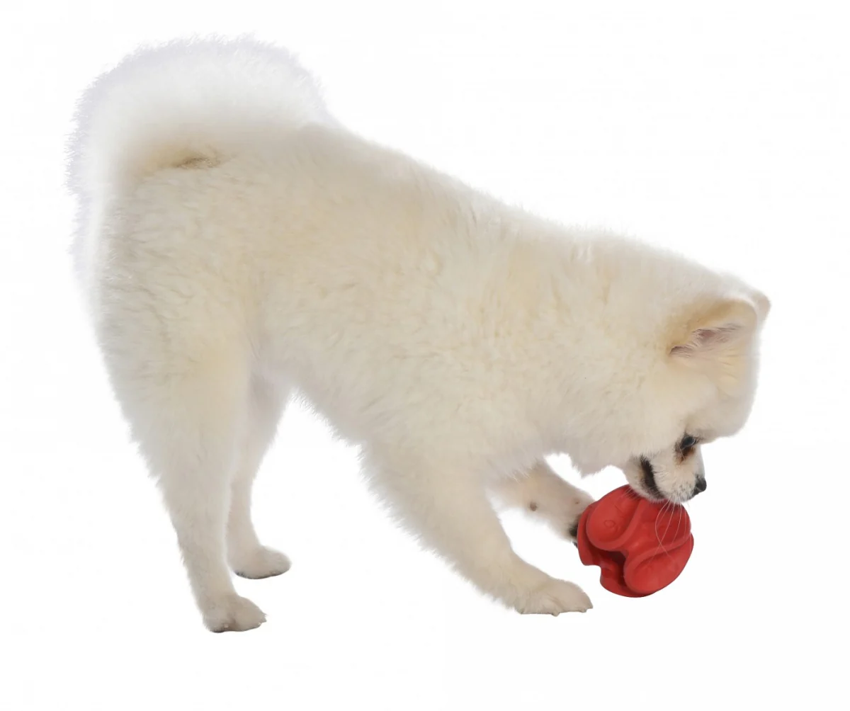 Jouet pour chiens WAVE - BOBBY CROCI – Image 2