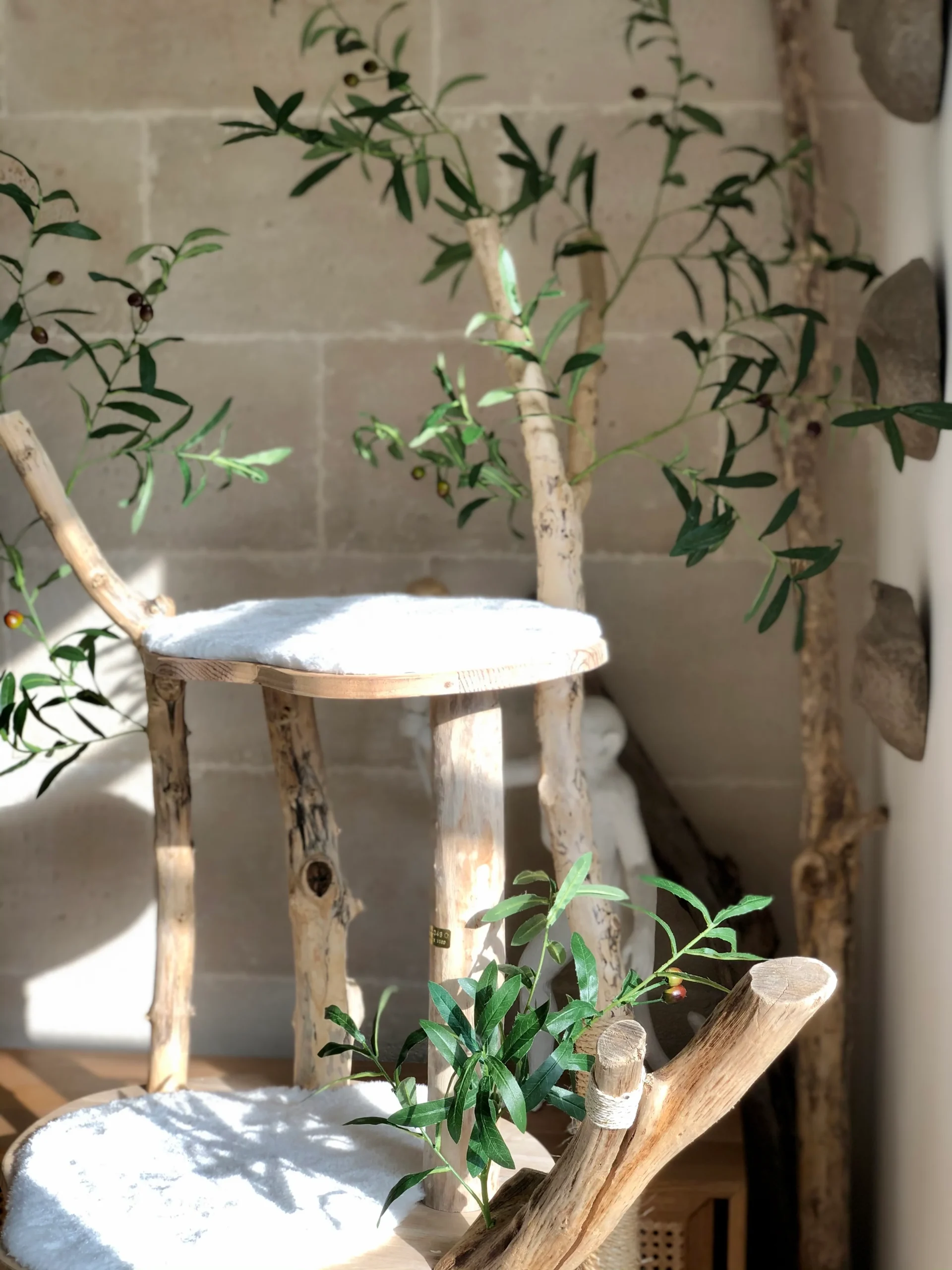 Arbre à chat en bois flotté 220 cm - Pièce artisanale Unique – Image 4