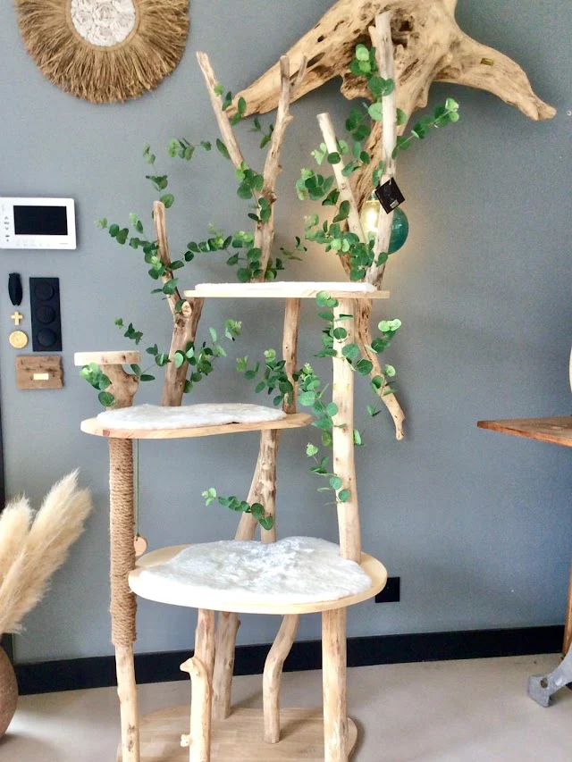 Arbre à chat en bois flotté 220 cm - Pièce artisanale Unique – Image 3